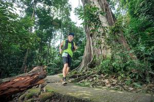 BIB: 
                            <button type="button" onclick="openModal(24809424)" class="btn btn-primary btn-sm float-right btn-popup" data-toggle="modal" data-target=".modal-high-quality">
                        <i class="fas fa-shopping-cart"></i> Add to Cart
                    </button>
                                            <button type="button" onclick="isThisMe(24809424, true)" class="btn btn-success btn-sm float-right btn-popup btn-isme hidden" data-toggle="tooltip" data-placement="bottom" title="นี่คือรูปของคุณใช่ไหม คลิกที่นี่เพื่อเอาเข้าอัลบั้ม">
                        <i class="fas fa-plus"></i> Add to album
                    </button>
                    <button type="button" onclick="isThisMe(24809424, false)" class="btn btn-warning btn-sm float-right btn-popup btn-isnotme hidden">
                        <i class="fas fa-ban"></i> Remove from album
                    </button>